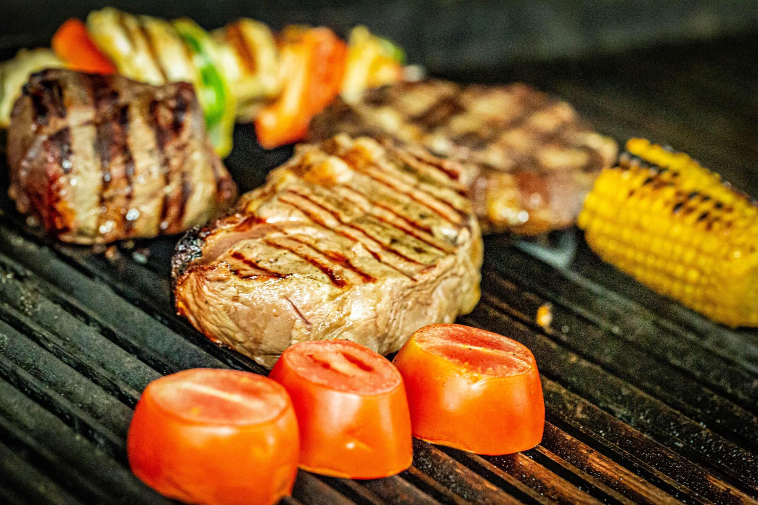 _A1A9848-5 brown squirrel on black background