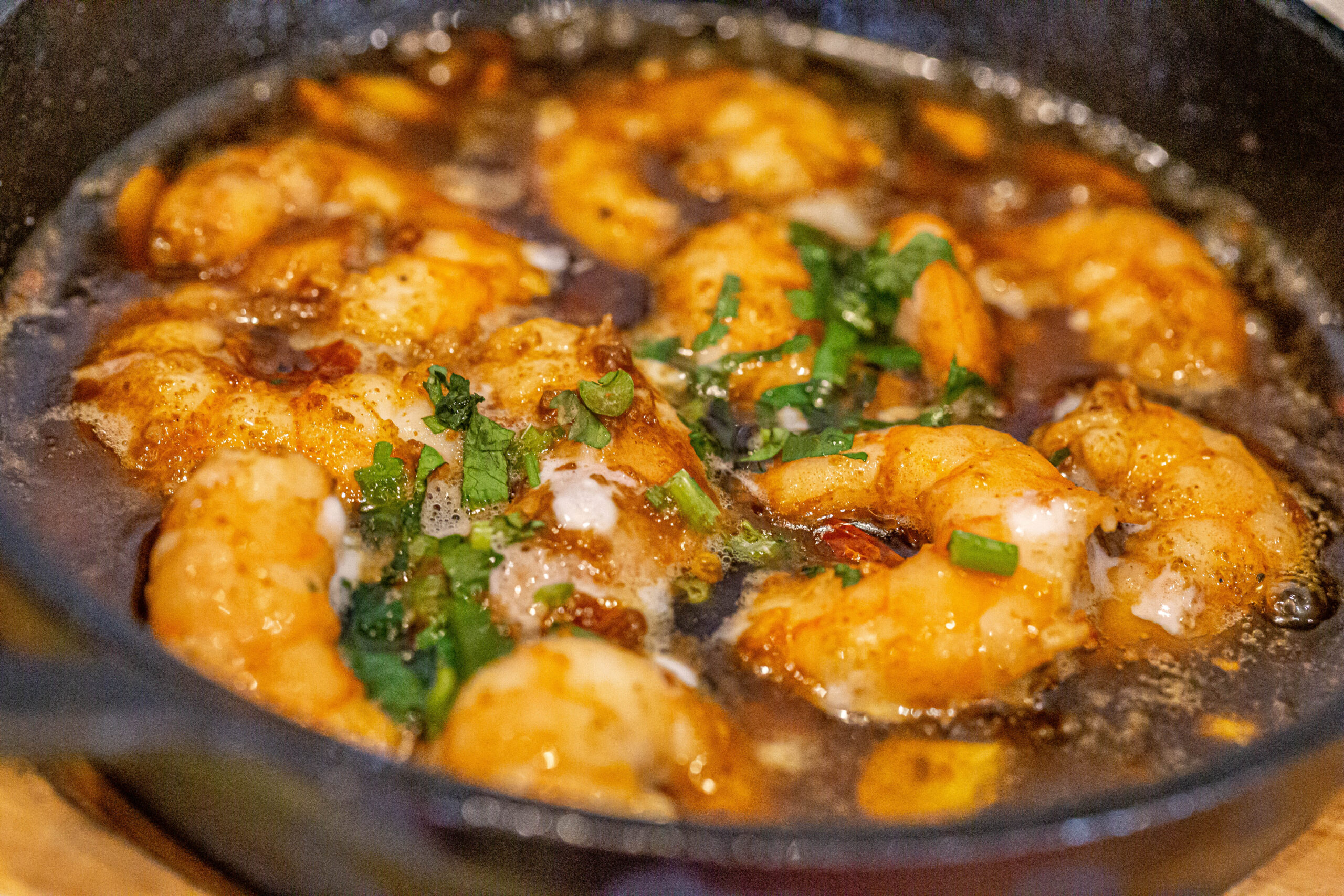 _A1A9860-120 leopard on tree branch